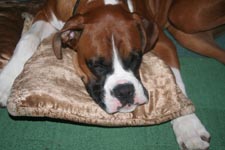 lucas_asleep