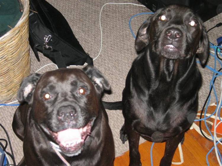 Lucie and D-Ohgie Smiling