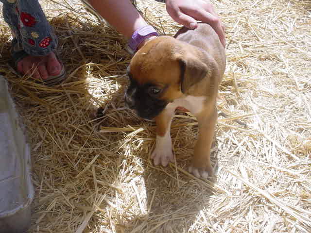 luckt is 5 weeks old