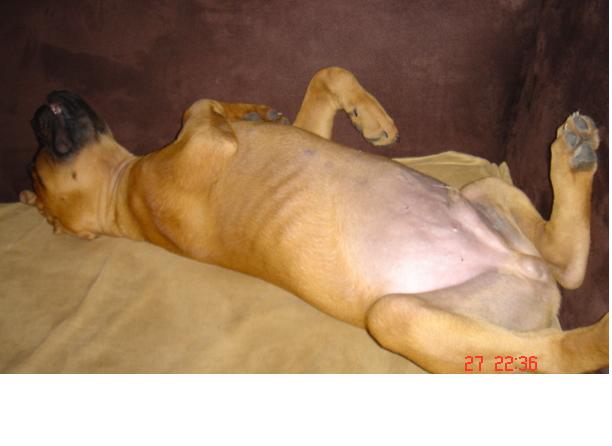 lucky_napping