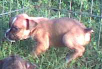 Lucky's first day outside!