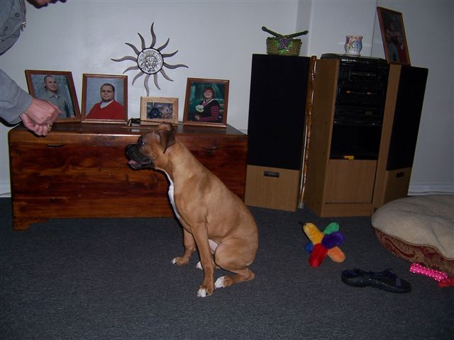 Lucy 1