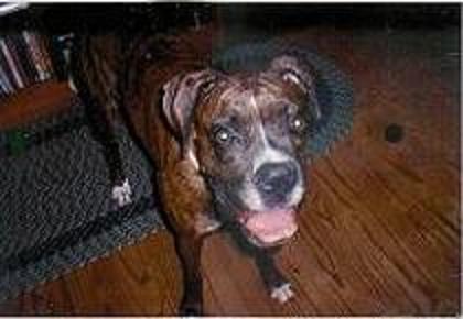 Lucy 1st day home