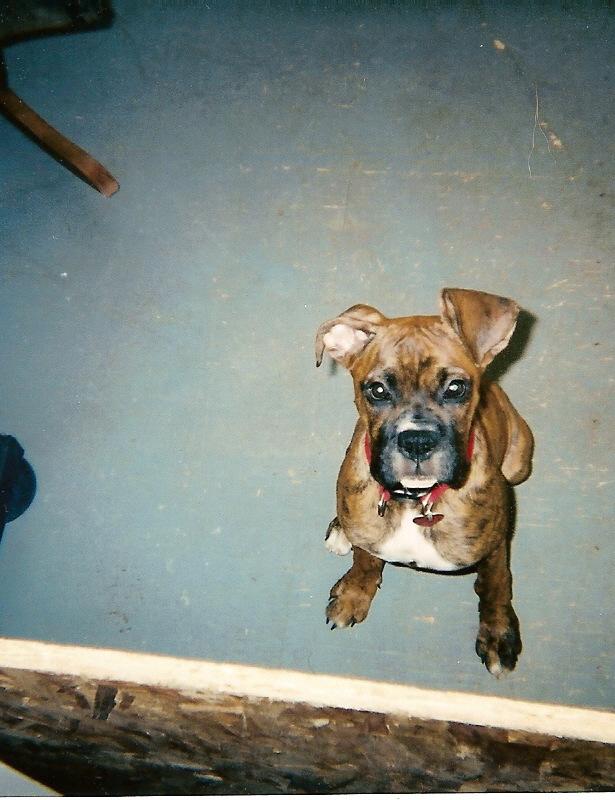 lucy 4 months old