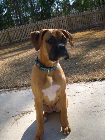 Lucy 4 mos