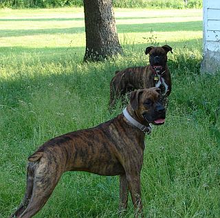 Lucy & Abby