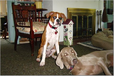 Lucy and Bryce