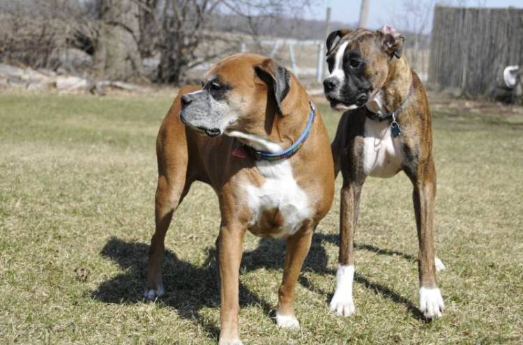 Lucy and Fred