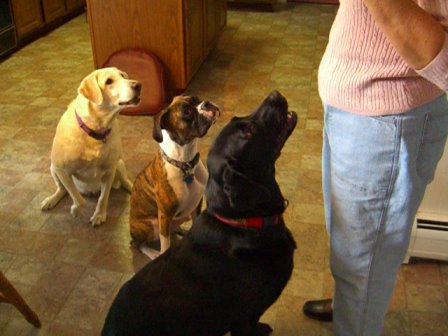 Lucy and her cousins