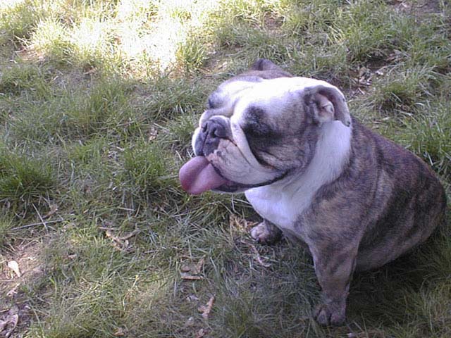 Lucy. And her tongue.