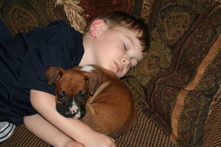 Lucy and Hunter napping