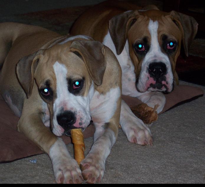 Lucy and Ricky