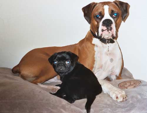 Lucy and Sampson
