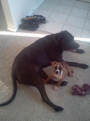 lucy and ty