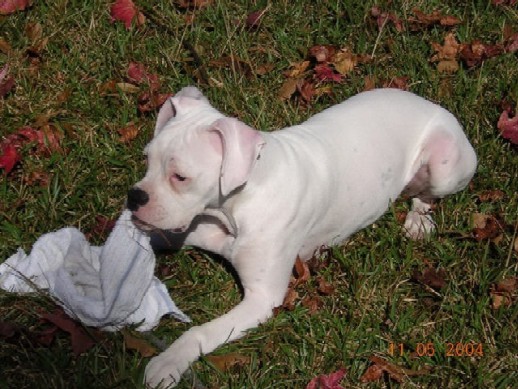 Lucy at 6 months