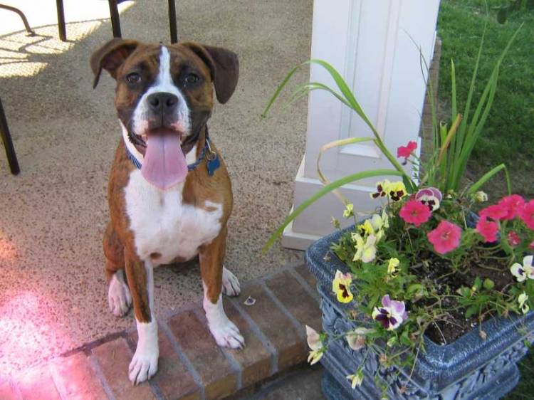 Lucy at 8 Months