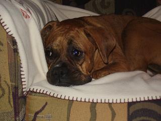Lucy chair