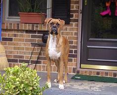 lucy front door