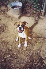 Lucy girl