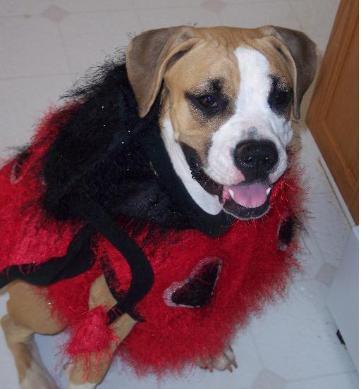Lucy Lady Bug
