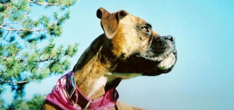 lucy looking very pretty
