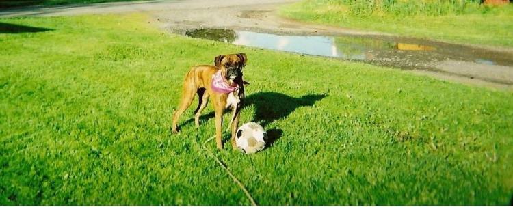 lucy playing
