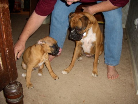 Lucy & Wrigley