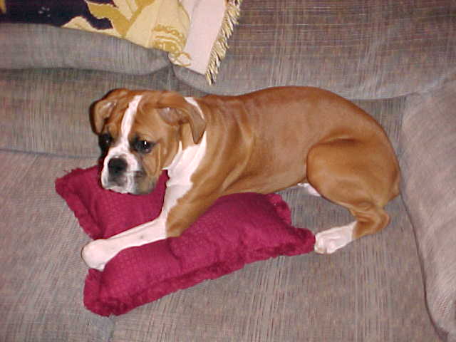 Lucy