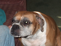 Lucy