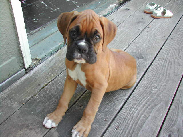 Lucy!