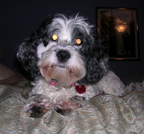 Lucy