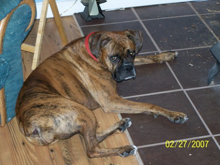 lucy4