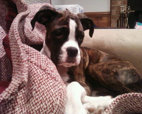 Lucy7