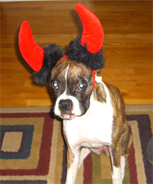 LucyHalloween