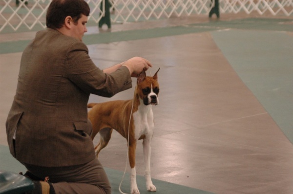 Lucy's first show