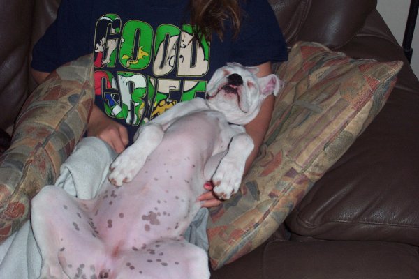 Lucy's not spoiled!
