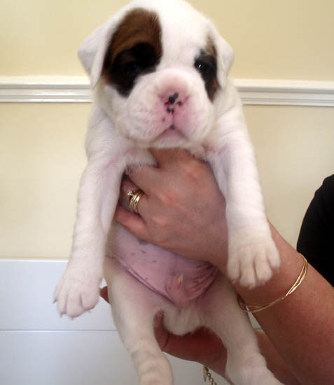 Luka 3 weeks 1.