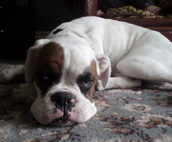 Luka 8 months