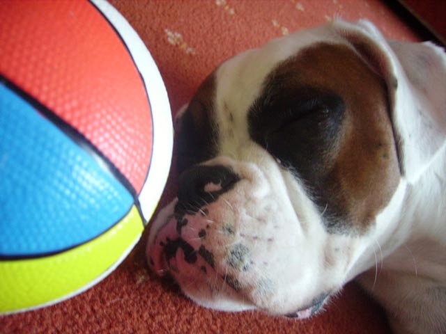 Luka and his ball