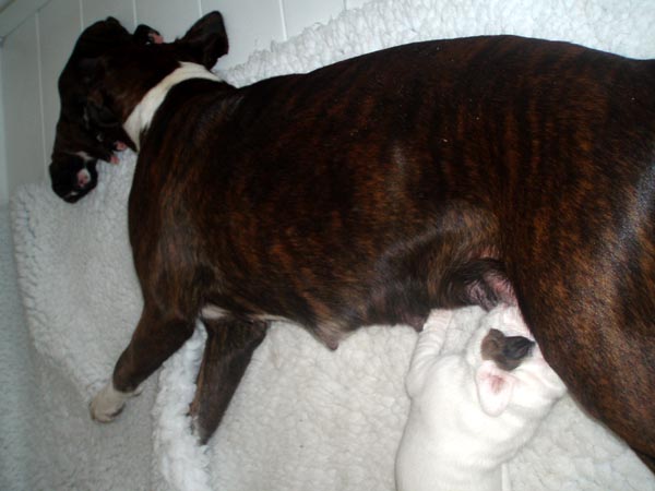 Luka and mum Lottie.
