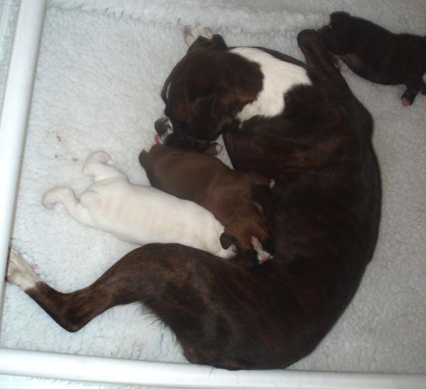 Luka - mum and sisters.