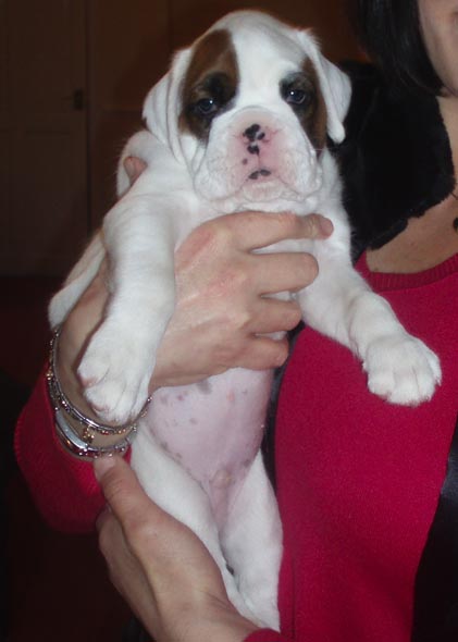 Luka_5_weeks_a