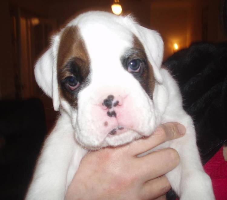 Luka_5_weeks_c