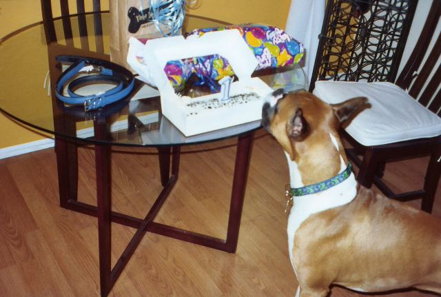 Lukas 1st Birthday