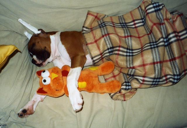 Lukas_and_Garfield