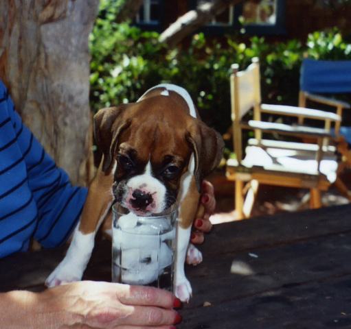 Lukasbabyat7weeks
