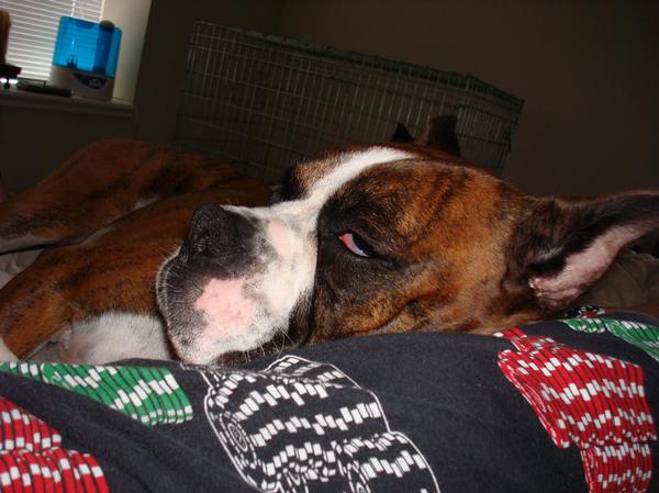 Luke asleep on Derek's leg