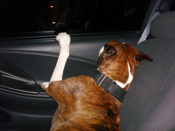 Luke in the car
