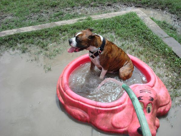 Luke sitting in the swimming pool