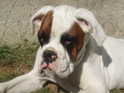 Lukes_19_weeks
